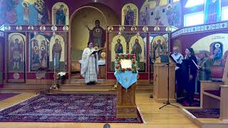 Entry of the Theotokos into the Temple [upl. by Adnohr539]