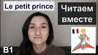 📘Читаем вместе Le petit prince  Маленький принц B1  Книга на французском [upl. by Deyes]