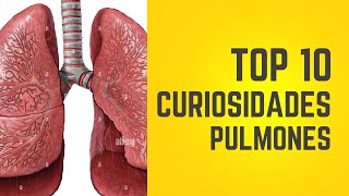 10 CURIOSIDADES DE LOS PULMONES [upl. by Cozmo]