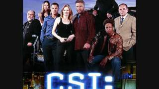 CSI Soundtrack Who Are You The Who [upl. by Ateuqal]