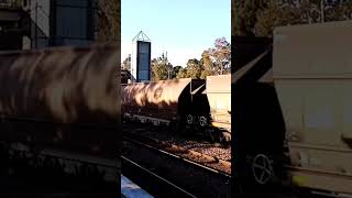 Another early morning coal train at Metford 992023 [upl. by Orms]