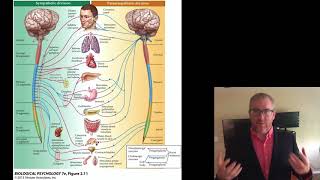 Lecture 4A [upl. by Nadab]