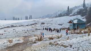 Seasons first snowfall attracts tourists at Gulmarg [upl. by Ojadnama885]