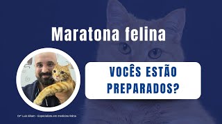 Maratona Medicina Felina aula 1 Medicações polêmicas Como estou errando no uso [upl. by Vey]