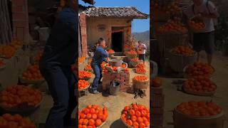 China Fresh Fruits  china fresh fruit trendingnow viralvids youtubeshortsvideo [upl. by Stanislas]