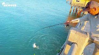 Catch the BIGGEST fish at the Pier 3 SIMPLE METHODS for Pier Fishing [upl. by Henn]