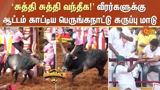 Alanganallur  ‘சுத்தி சுத்தி வந்தீக வீரர்களுக்கு ஆட்டம் காட்டிய பெருங்கநாட்டு கருப்பு மாடு [upl. by Ambrogio]