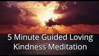 5 Minute Guided Loving Kindness Meditation [upl. by Oivlis471]