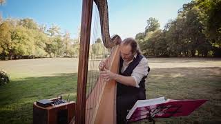 Francois Pernel  wedding harp player  medley [upl. by Barina496]