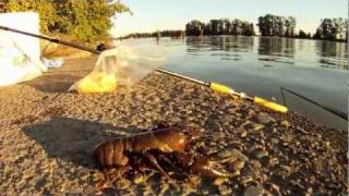 Fraser River Cray Fish Wormmp4 [upl. by Ronald]