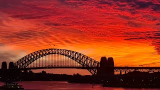 Sights and sounds from the most amazing city in the world This is Sydney Harbour Australia LIVE Cam [upl. by Okier]