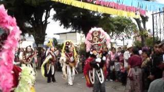 el tacuasin santo tomas la union such en su feria titular [upl. by Acinad]