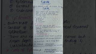 Skin  Anatomy and physiology humanskin skinanatomy skinphysiologyskinnotesshotrsviralvideo [upl. by Atsiuqal]