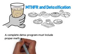 What is MTHFR MTHFR Mutation Explained  MethyleneTetraHydroFolate Reductase [upl. by Aylsworth298]