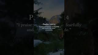 Psalms 13914 [upl. by Estevan]