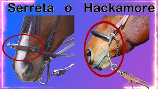 Descubre la verdad oculta sobre la monta bitless y los inconvenientes del hackamore y serreta [upl. by Horatio634]