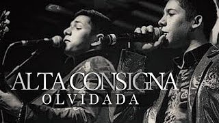 Alta Consigna  Olvidada Versión Acústica [upl. by Aslin]