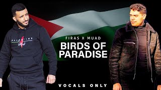 Firas X Muad  Birds Of Paradise Vocals Only [upl. by Annalise]