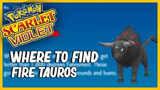 Where To Find Fire Paldean Tauros in Pokémon Scarlet and Violet [upl. by Nednarb444]