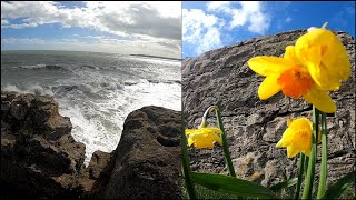 Abandoned Scottish 1700s History  Lost to WILD North Sea [upl. by Tybi947]