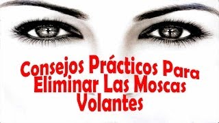 Como Eliminar Las Moscas Volantes  Consejos Prácticos y Sencillos [upl. by Ariane]