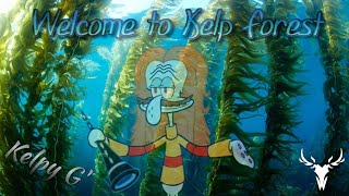 Kelpy G  Welcome to Kelp Forest  Smooth Jazz Remix [upl. by Elysee]