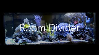 Room Divider Coral Reef Aquarium  Corals 1 HD [upl. by Auqenat]