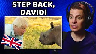 American Reacts to Top 10 David Attenborough Moments [upl. by Nomled540]