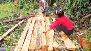 PARTILHAR Madeira para construir casa nova  Lyyennhi [upl. by Ikkin264]