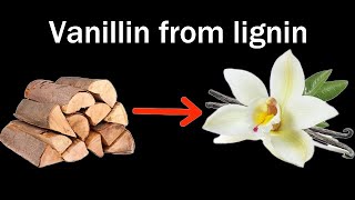 Making Vanilla from Wood Lignin [upl. by Ahsenyl]