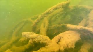 ROV discovery of World War II antitorpedo net in Burrator Reservoir [upl. by Magbie547]