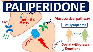 Paliperidone extended release tablets and IM injection [upl. by Nylrak]