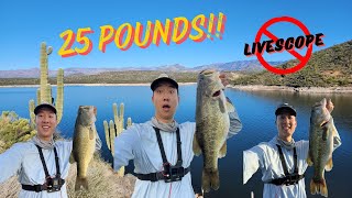 My BIGGEST BAG Ever Saguaro Lake Bass Fishing [upl. by Aikemat244]