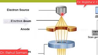 Scanning Electron Microscopy in English SEM Principle amp Instrumentation KTU Lectures CYT100S2CH [upl. by Stephine]