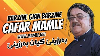 جەعفەر ماملێ بەرزینێ گیان بەرزینێ Jafar Mamle Barzine gian Barzine  cefer mamle Berzînê mamle [upl. by Nylave884]