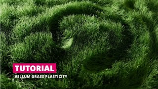 Tutorial Vellum Grass Basic Plasticity [upl. by Bicknell]