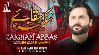 Saqa e Sakina sa  Zaigham Abbas  Nohay 2024  Muharram 20241446 [upl. by Ahseikan]