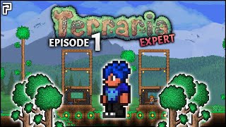 The HUGE New Terraria EXPERT Adventure Begins  Terraria EXPERT Mode Lets Play  Episode 1 [upl. by Ibson481]