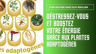 Déstressezvous et boostez votre énergie grâce aux plantes adaptogènes par Guy Roulier sstitrée [upl. by Analahs]