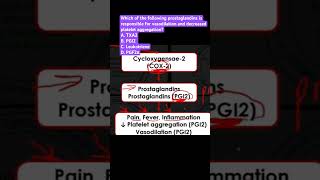 Prostaglandins is responsible for vasodilation and decreased platelet aggregation [upl. by Mulvihill]