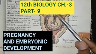 Class 12 biology chapter 3part 9pregnancy and embryonic developmentstudy with farru [upl. by Ojok268]