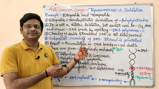 Anticancer Drugs Part13Topoisomerase 02 Inhibitors  Etoposide and Teniposide  Anticancer Drug [upl. by Richards81]