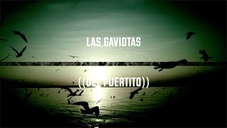 Las Gaviotas del Puertito [upl. by Crista]