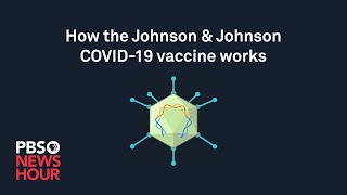 WATCH How the Johnson amp Johnson COVID19 vaccine works [upl. by Almeda]