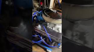 Ford 302 fresh rebuild duet funnyvideos shorts [upl. by Gauthier]