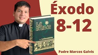 LECTURA DE BIBLIA Exodo Cap 812 📖 con el padre Marcos Galvis [upl. by Maureene219]