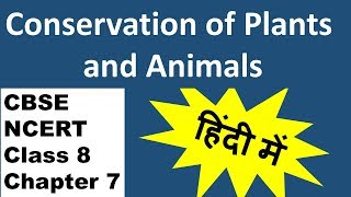 Conservation of Plants and Animals Class 8 NCERT Chapter 7  Explanation and Solutions in easy Hindi [upl. by Esiuqram]