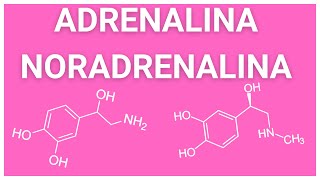 ¿Qué es la ADRENALINA y NORADRENALINA ¿Qué es la EPINEFRINA y NOREPINEFRINA ¿Son lo mismo [upl. by Ellehsim]