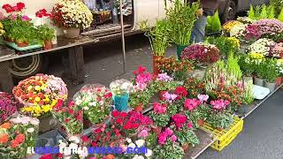 MERCADILLO DE AVENIDA DE ASTURIAS [upl. by Dean]