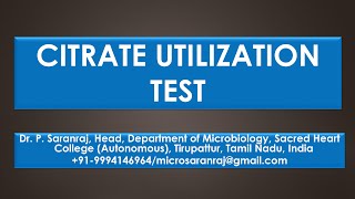 Citrate Utilization Test [upl. by Petigny]